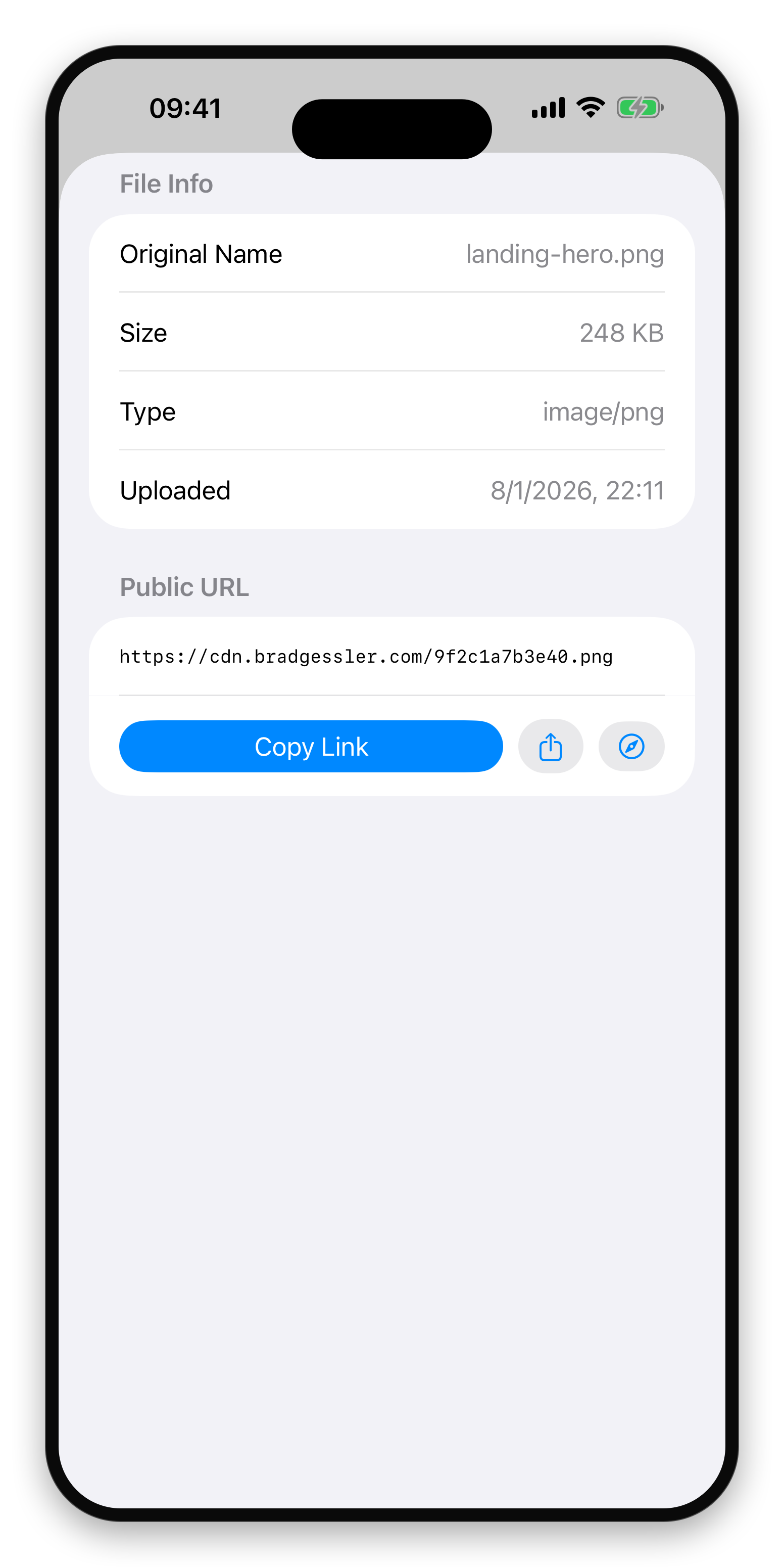 A file's public link on iPhone