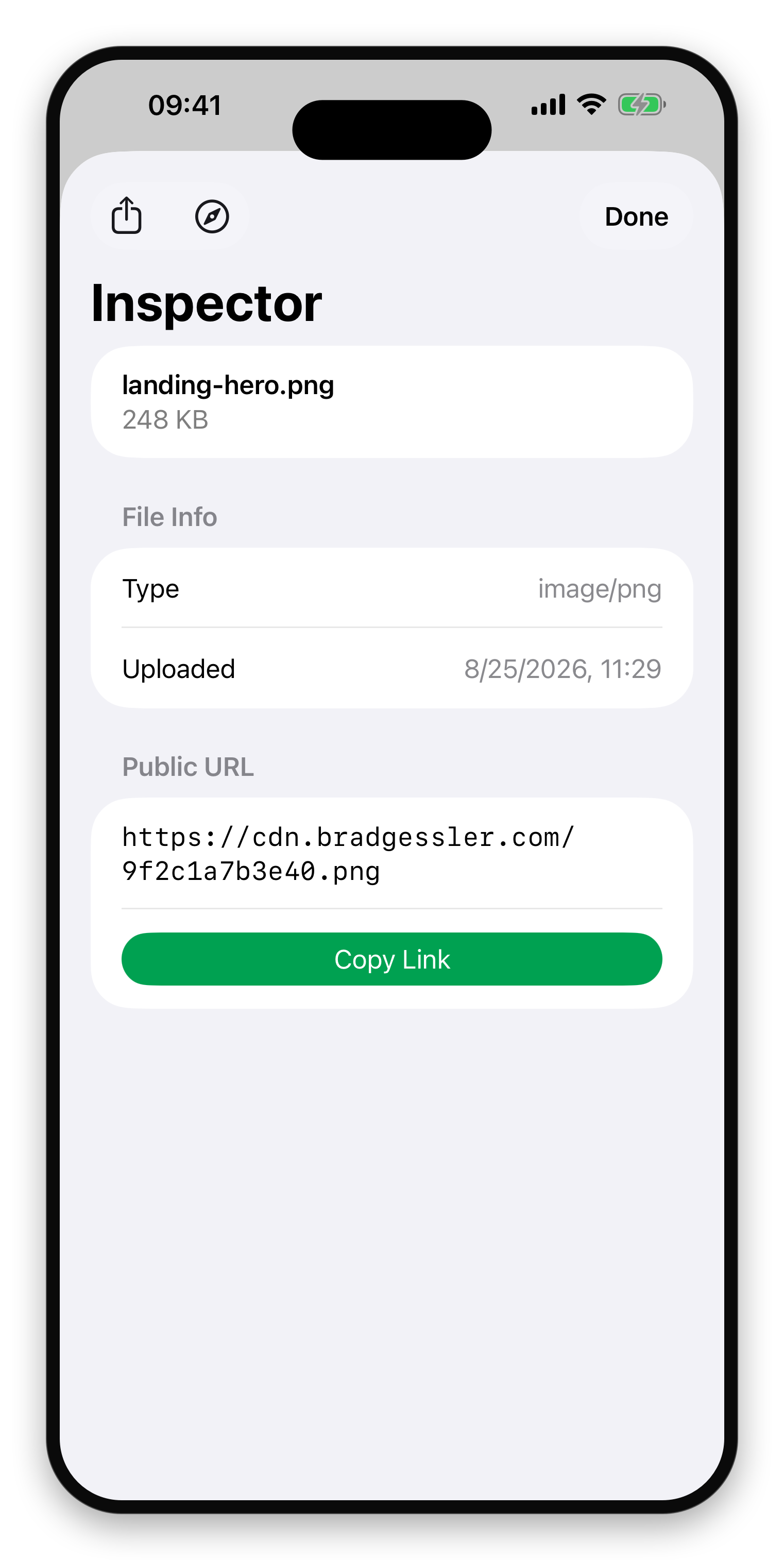 A file's public link on iPhone