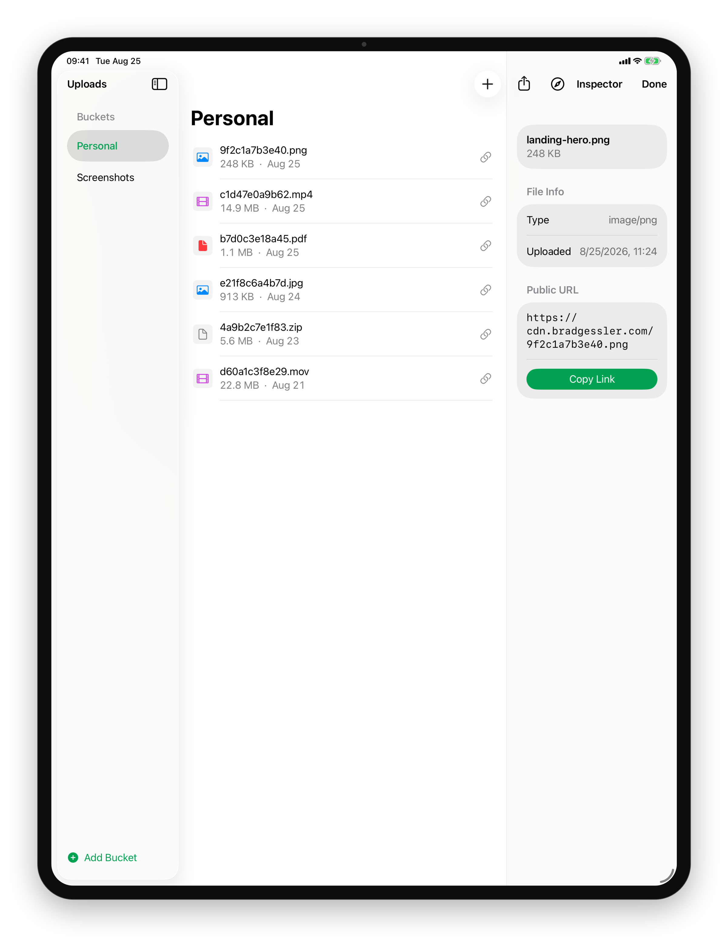 A file's public link on iPad
